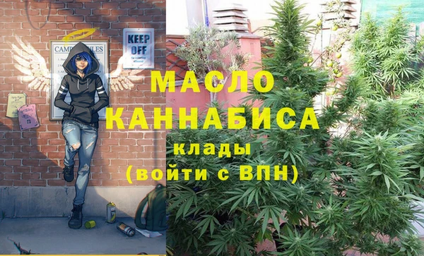 соль ск Алзамай