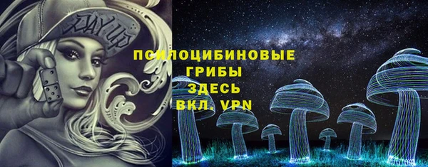 соль ск Алзамай