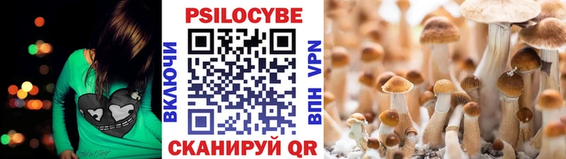 Псилоцибиновые грибы прущие грибы Нефтекумск